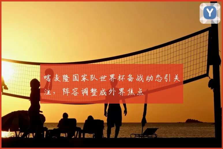 喀麦隆国家队世界杯备战动态引关注，阵容调整成外界焦点