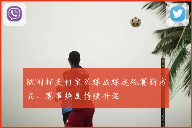 欧洲杯支付宝买球成球迷观赛新方式,赛事热度持续升温