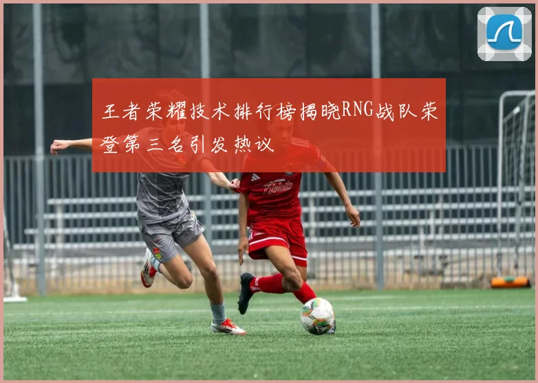 王者荣耀技术排行榜揭晓RNG战队荣登第三名引发热议