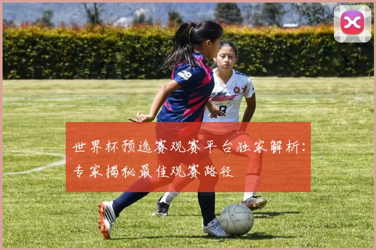 世界杯预选赛观赛平台独家解析:专家揭秘最佳观赛路径
