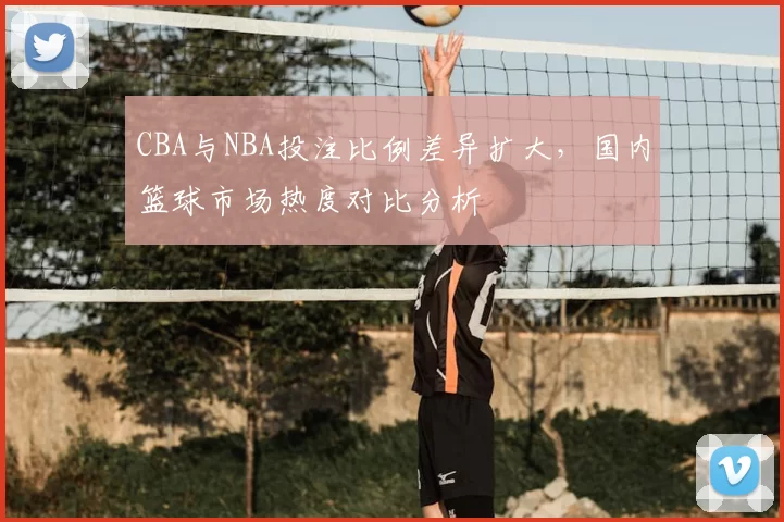 CBA与NBA投注比例差异扩大，国内篮球市场热度对比分析