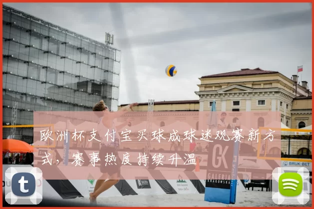 欧洲杯支付宝买球成球迷观赛新方式,赛事热度持续升温