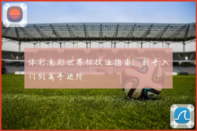 体彩竞彩世界杯投注指南：新手入门到高手进阶