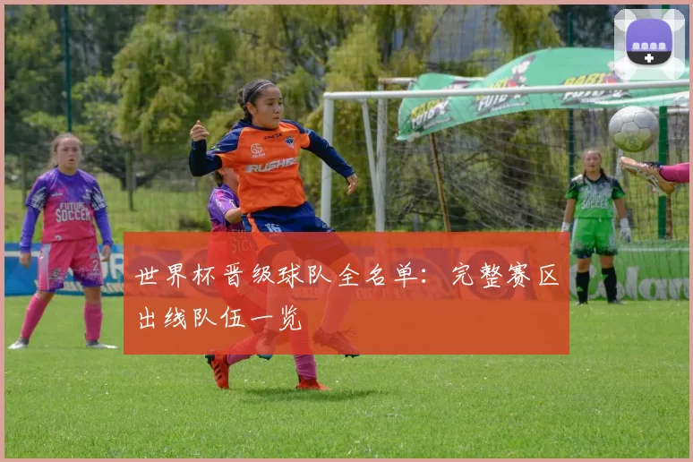 世界杯晋级球队全名单：完整赛区出线队伍一览