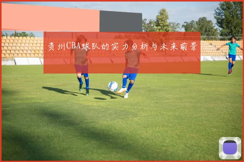 贵州CBA球队的实力分析与未来前景