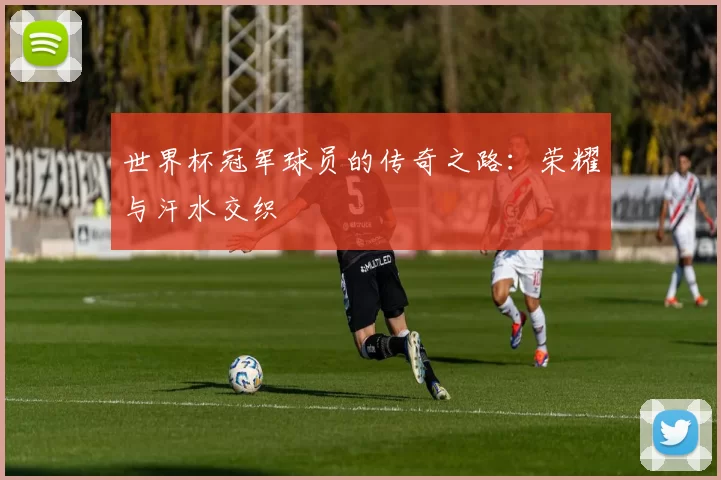 世界杯冠军球员的传奇之路：荣耀与汗水交织