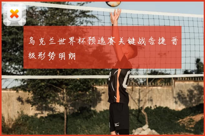 乌克兰世界杯预选赛关键战告捷 晋级形势明朗