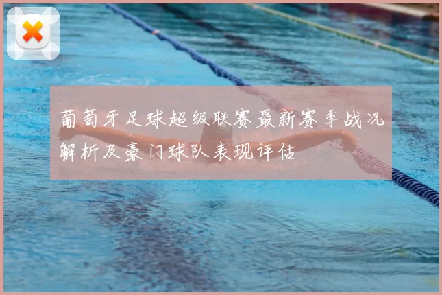 葡萄牙足球超级联赛最新赛季战况解析及豪门球队表现评估