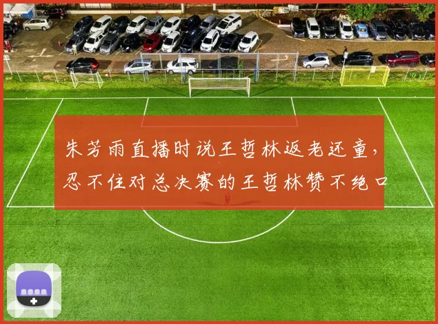朱芳雨直播时说王哲林返老还童，忍不住对总决赛的王哲林赞不绝口