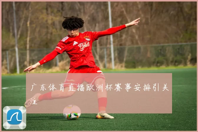 广东体育直播欧洲杯赛事安排引关注