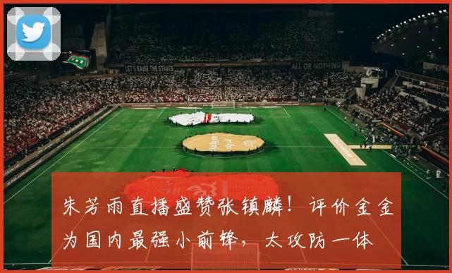 朱芳雨直播盛赞张镇麟！评价金金为国内最强小前锋，太攻防一体