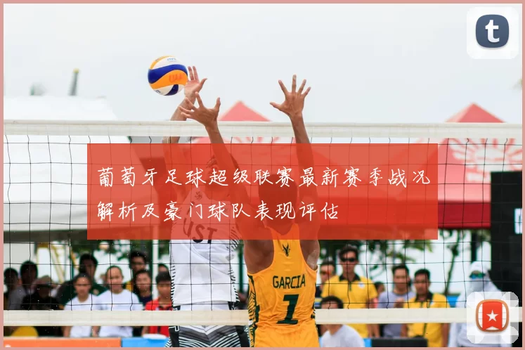 葡萄牙足球超级联赛最新赛季战况解析及豪门球队表现评估